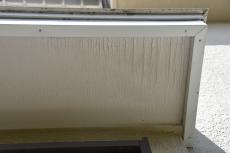 2019 1210 Hsama mae11.JPG