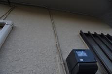 2019 1210 Hsama mae26.JPG