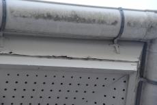 2019 1210 Hsama mae27.JPG