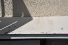 2019 1210 Hsama mae28.JPG