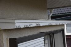 2019 1210 Hsama mae29.JPG