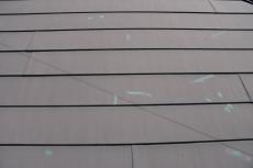 2019 1210 Hsama mae32.JPG