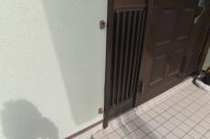 20190125 Isama mae25.JPG