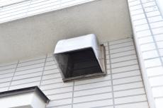 20190128 Hsama mae23.JPG
