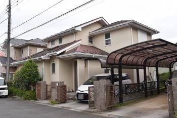 20190128 Isama go01.JPG