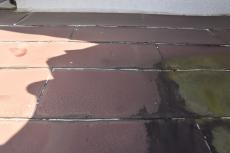 20190130 Nsama mae04.JPG