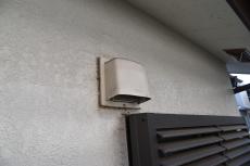 20190130 Nsama mae21.JPG