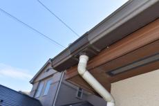 20190205 naritaAsama mae53.JPG