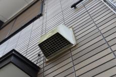 20190205 sakuraAsama mae22.JPG