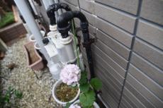 20190205 sakuraAsama mae33.JPG