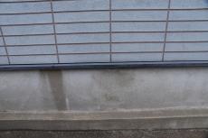 20190219 Ksama mae13.JPG