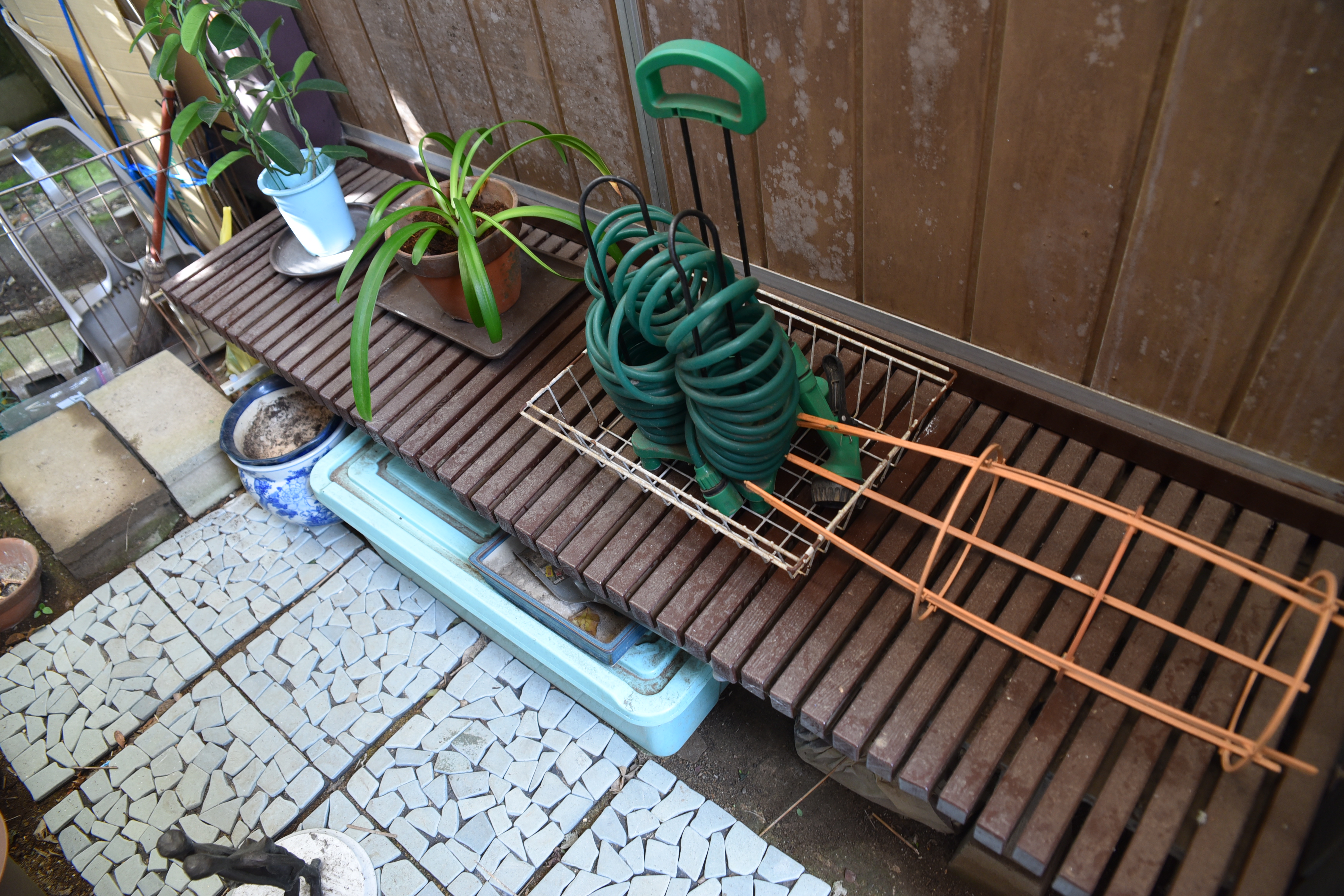 20190228  Msama mae43.JPG