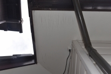 20190307 namikichou Fsama mae03.JPG