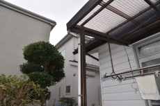 20190307 namikichou Fsama mae06.JPG