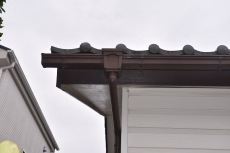 20190307 namikichou Fsama mae07.JPG