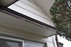 20190307 namikichou Fsama mae08.JPG