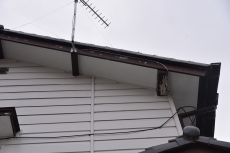 20190307 namikichou Fsama mae11.JPG