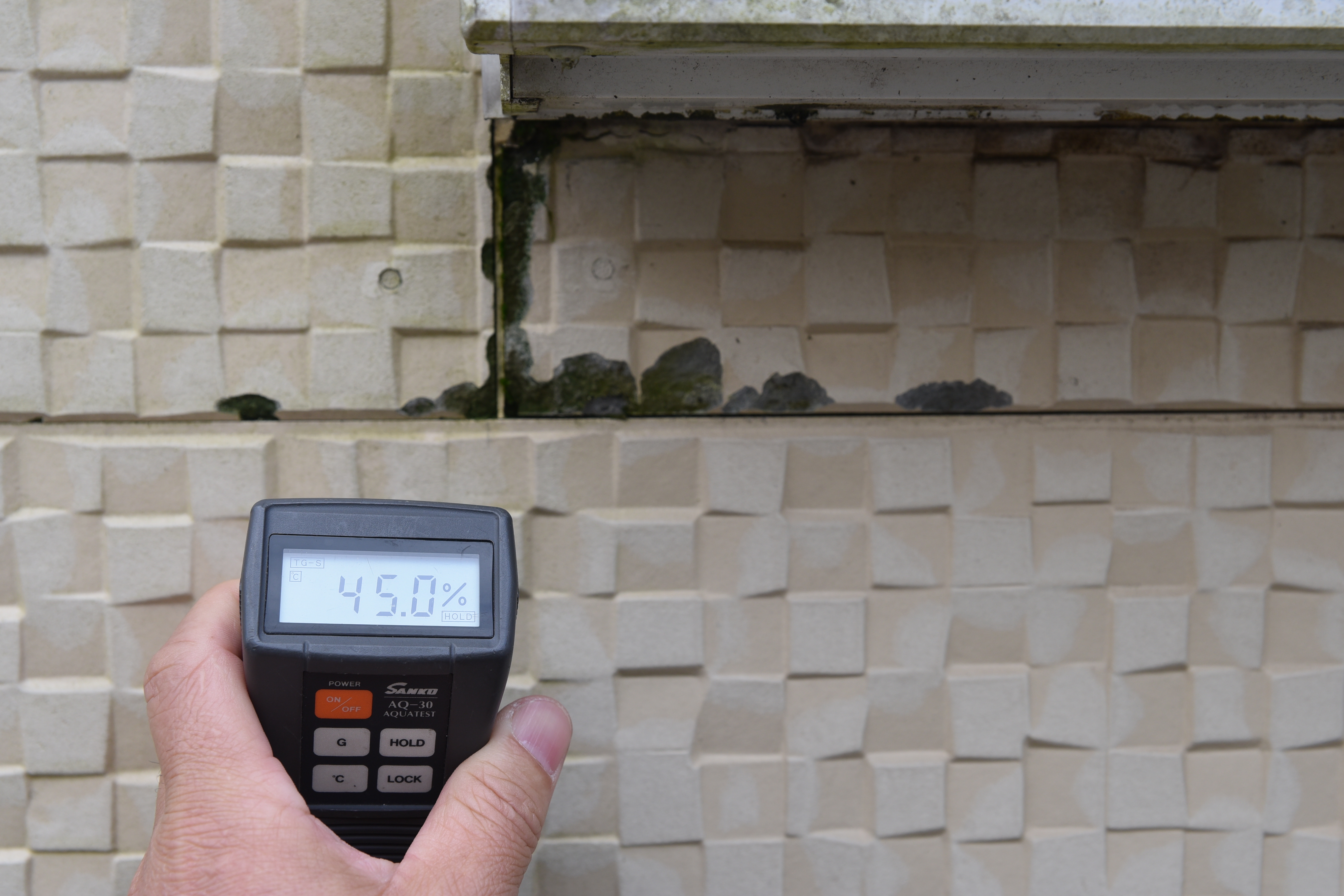 20190314 tsuchiya K sama mae03.JPG