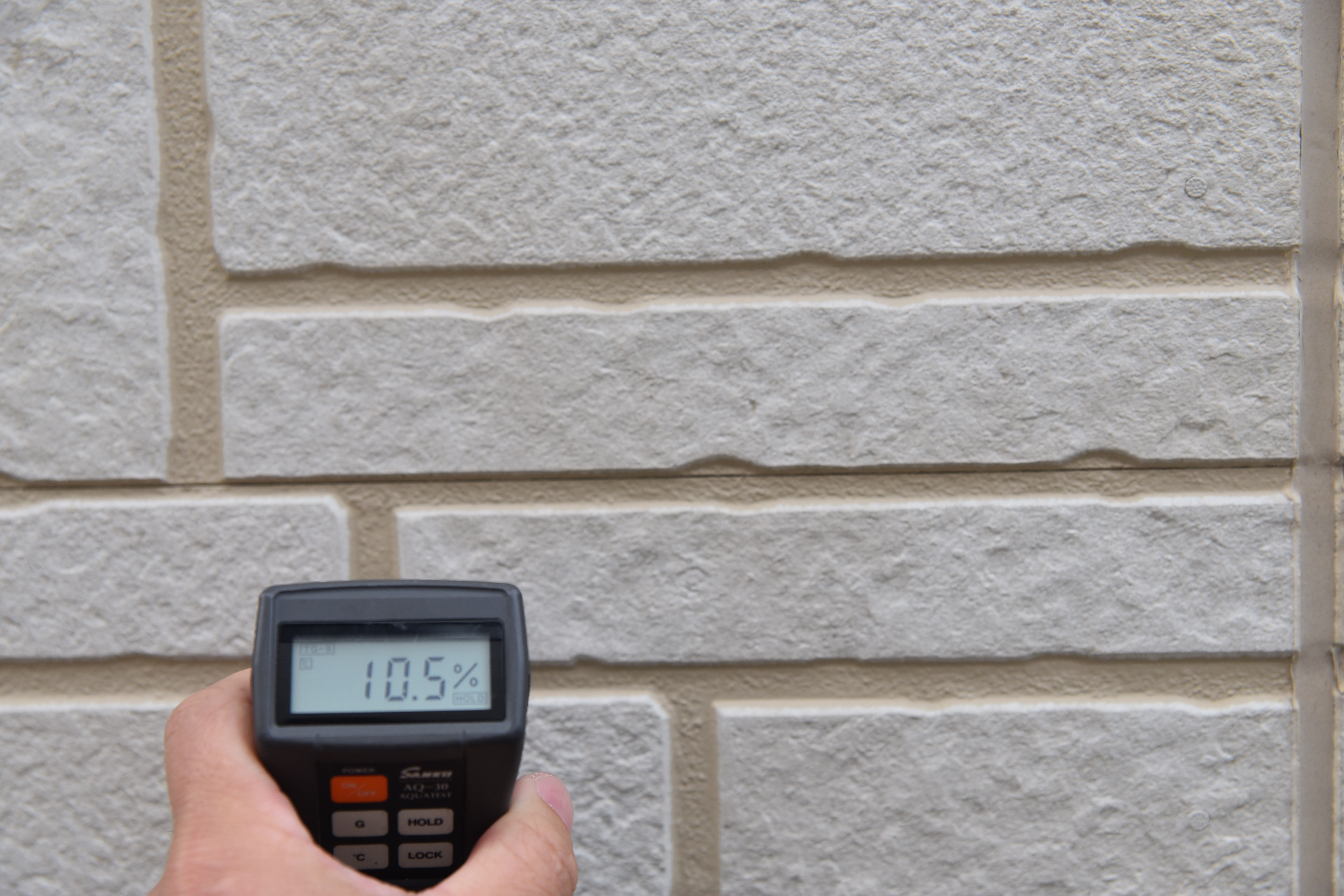 20190314 tsuchiya K sama mae05.JPG