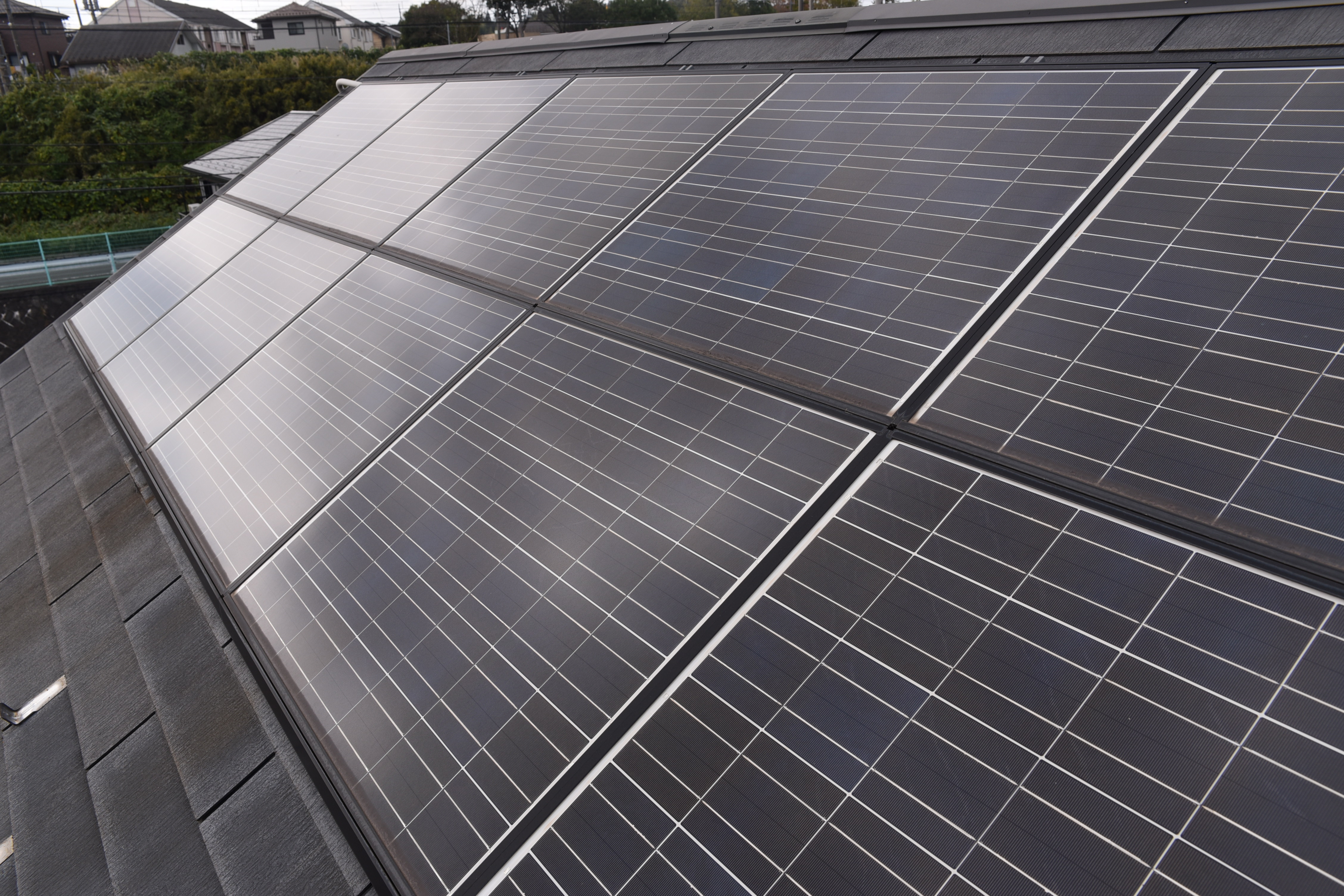 20190314 tsuchiya K sama mae06.JPG