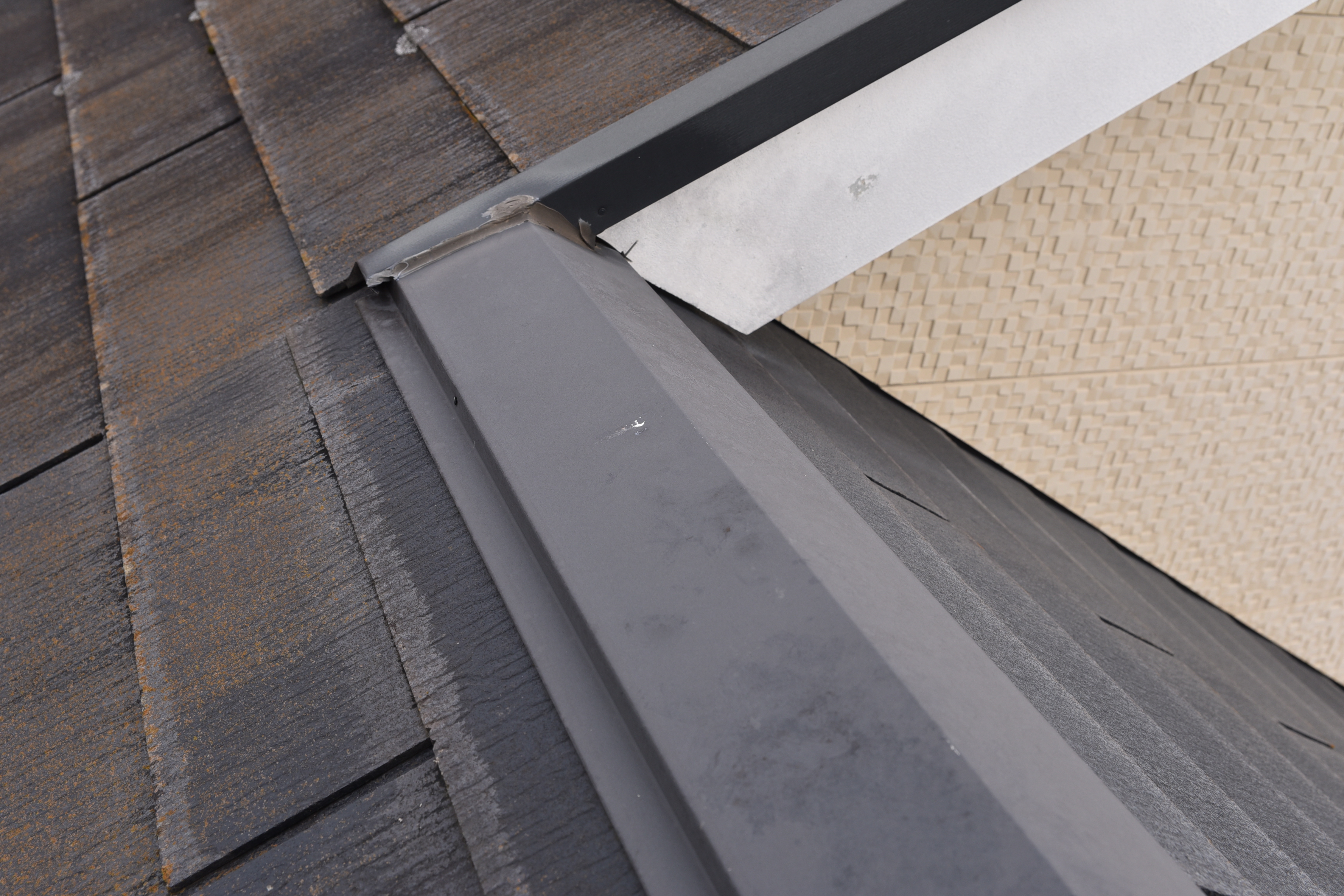 20190314 tsuchiya K sama mae07.JPG