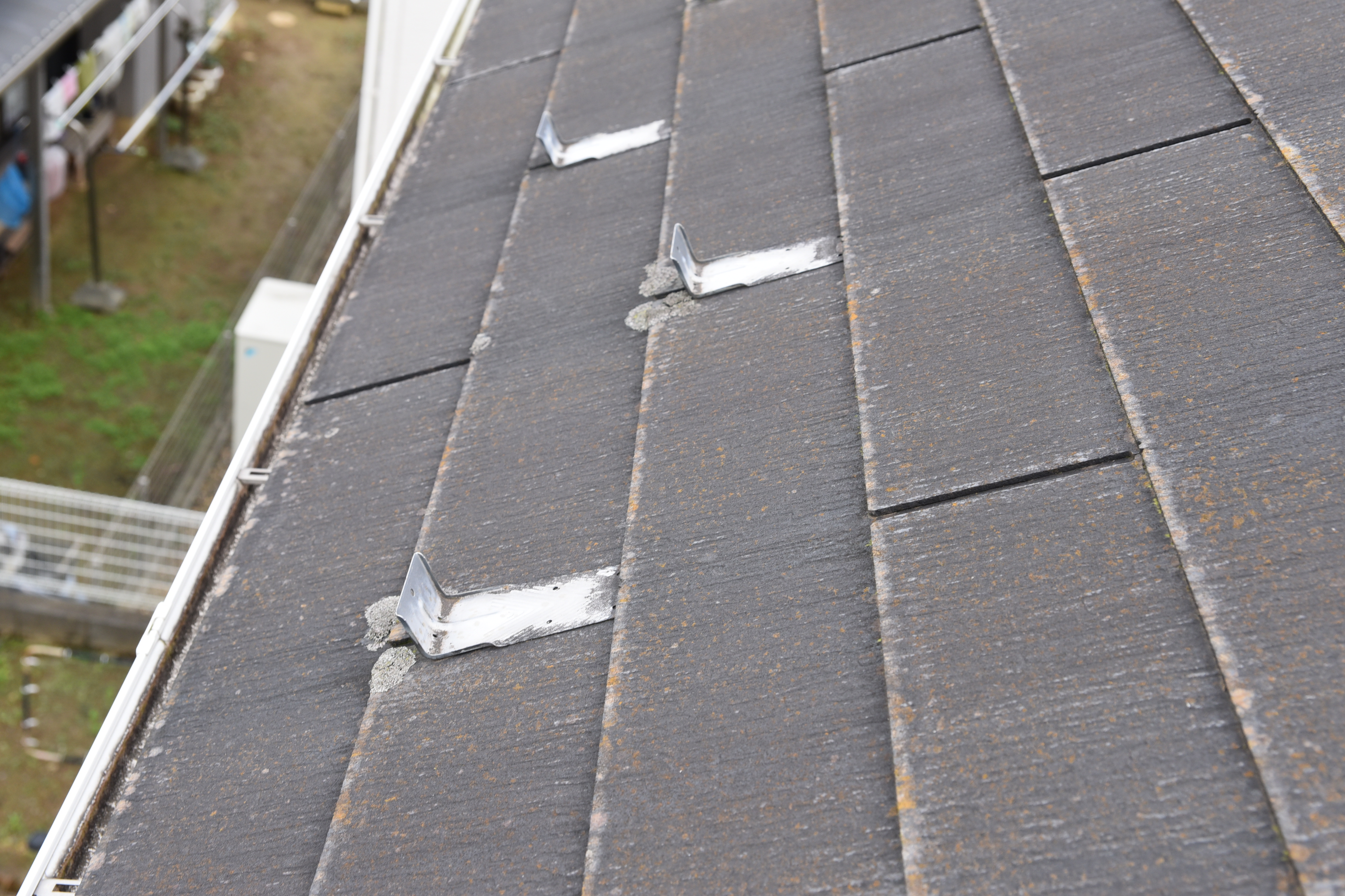 20190314 tsuchiya K sama mae09.JPG