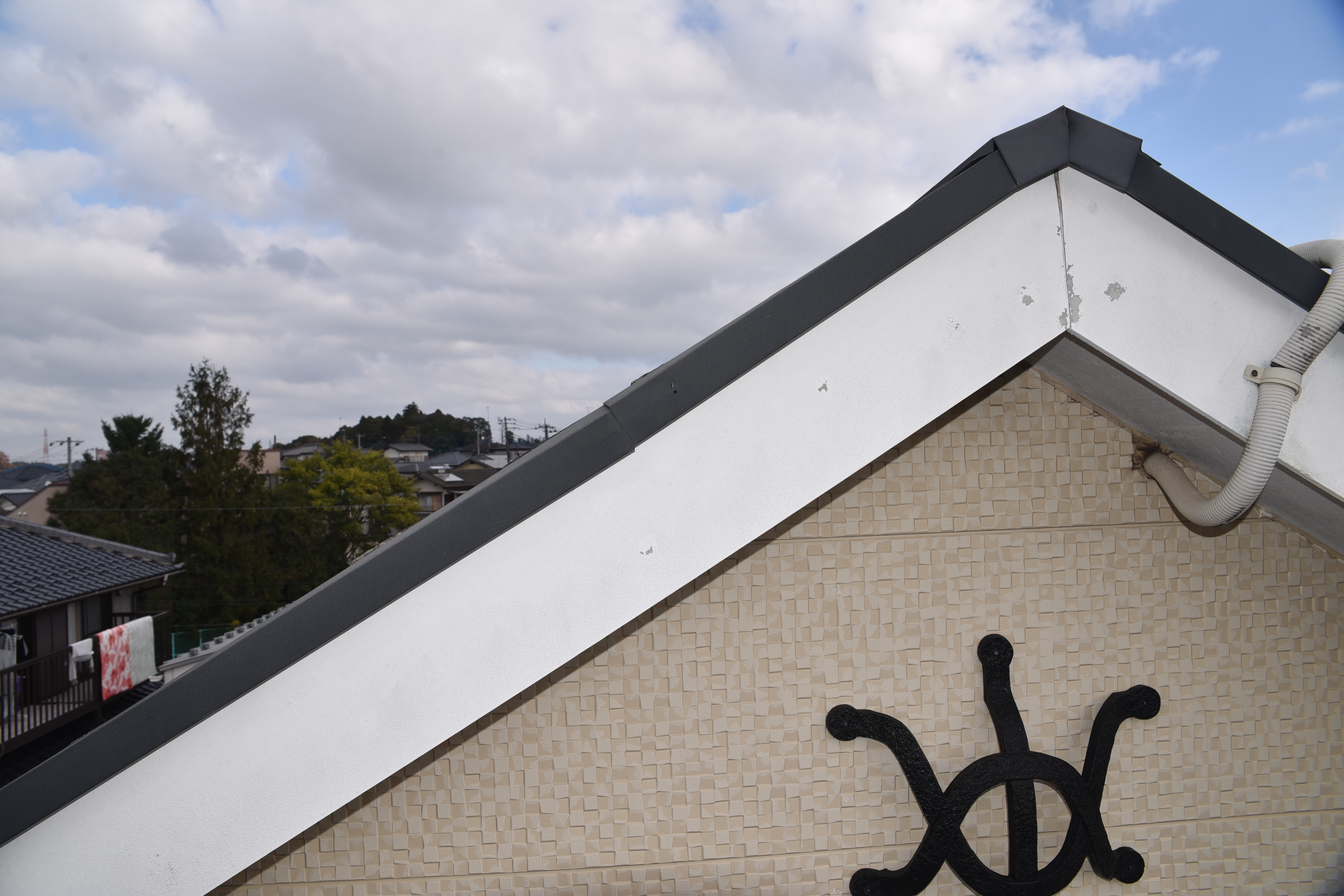 20190314 tsuchiya K sama mae10.JPG