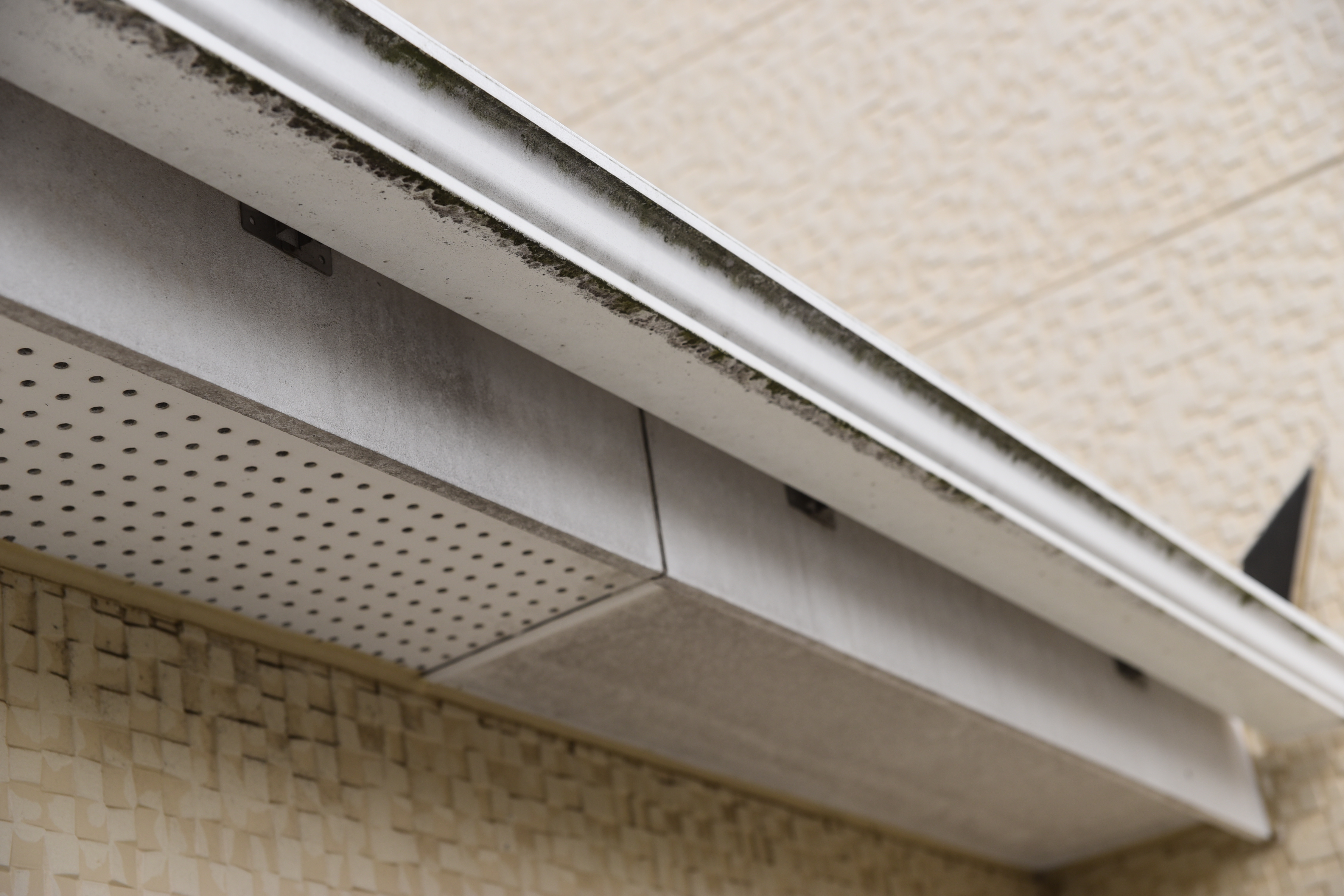 20190314 tsuchiya K sama mae11.JPG