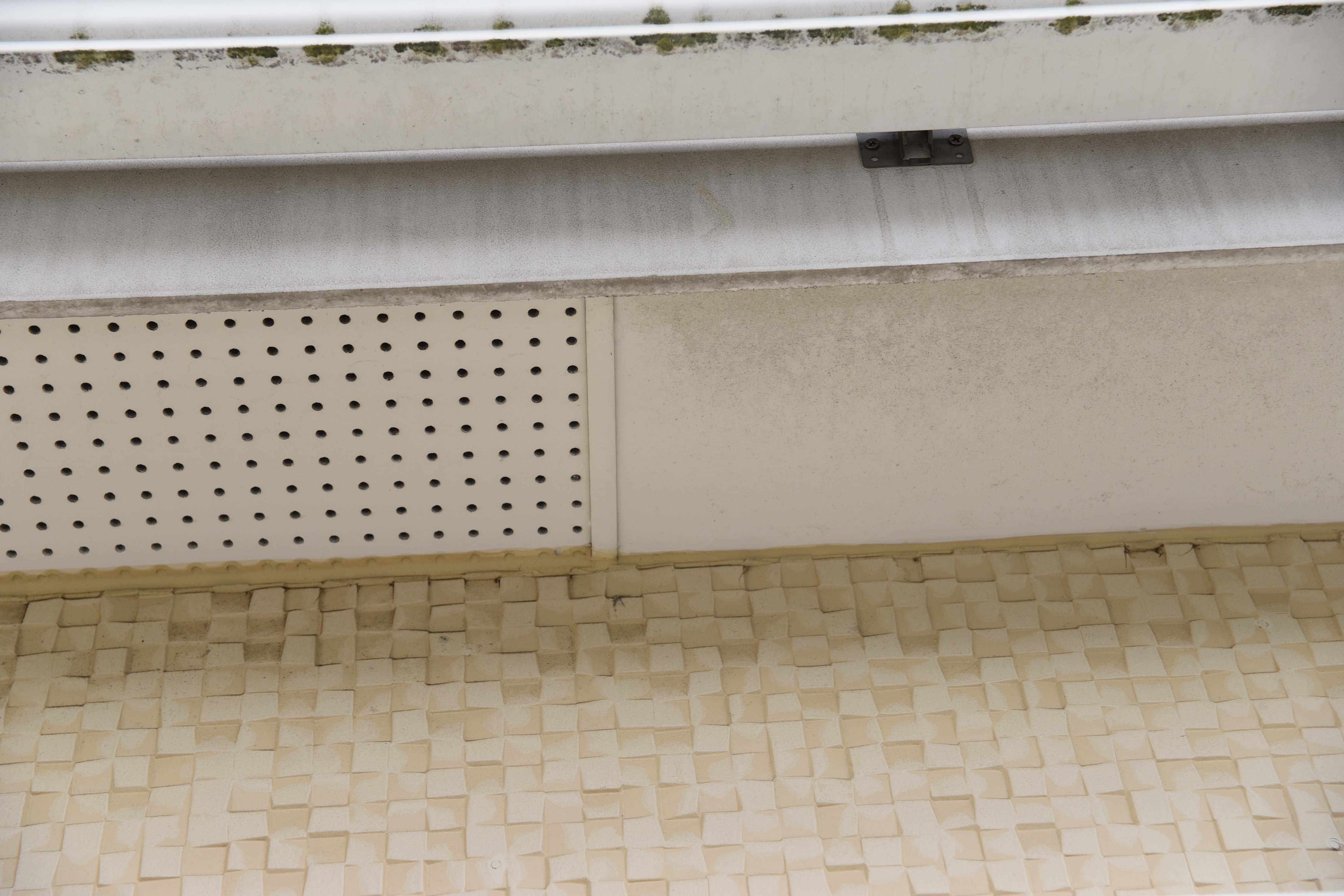 20190314 tsuchiya K sama mae12.JPG