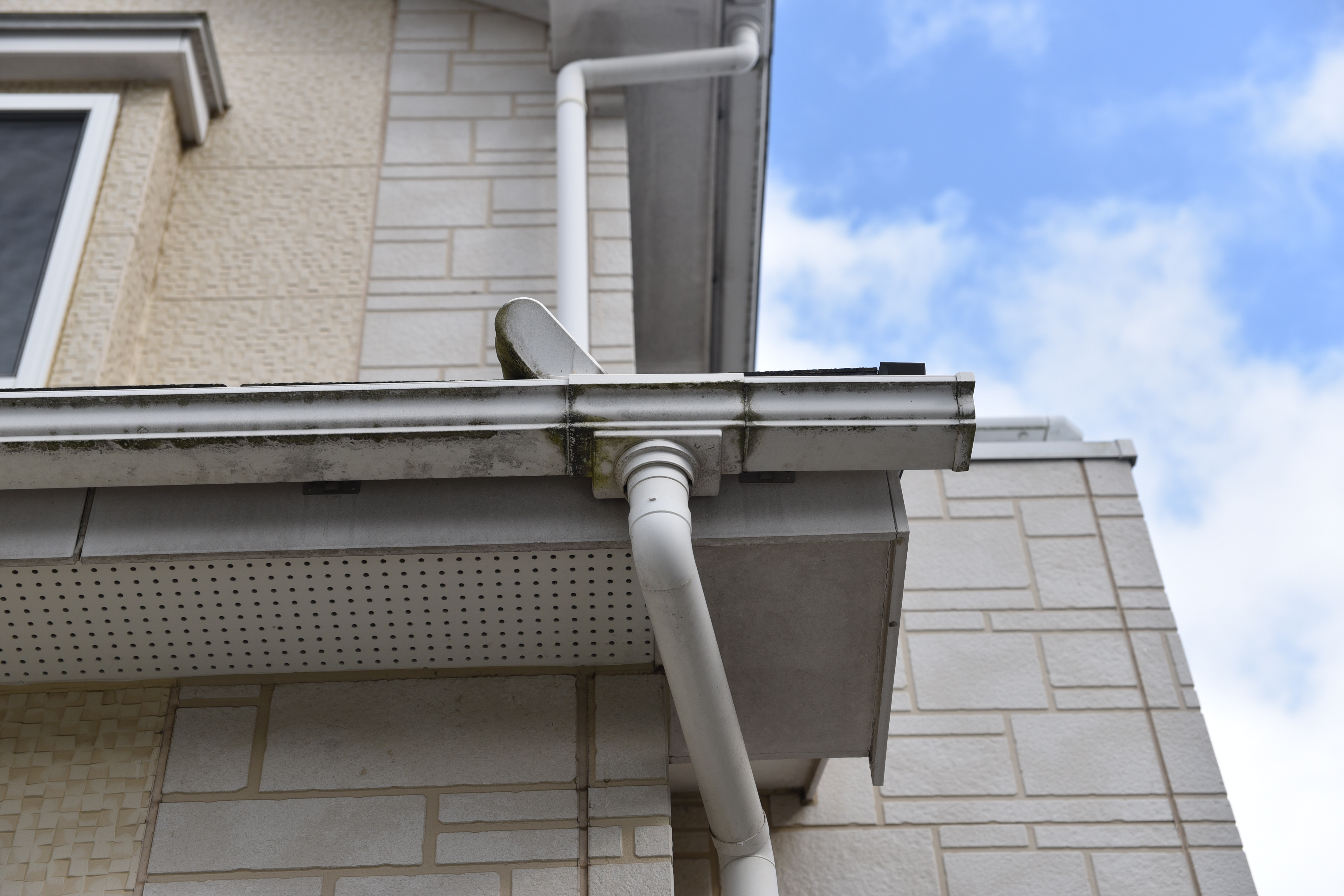 20190314 tsuchiya K sama mae13.JPG