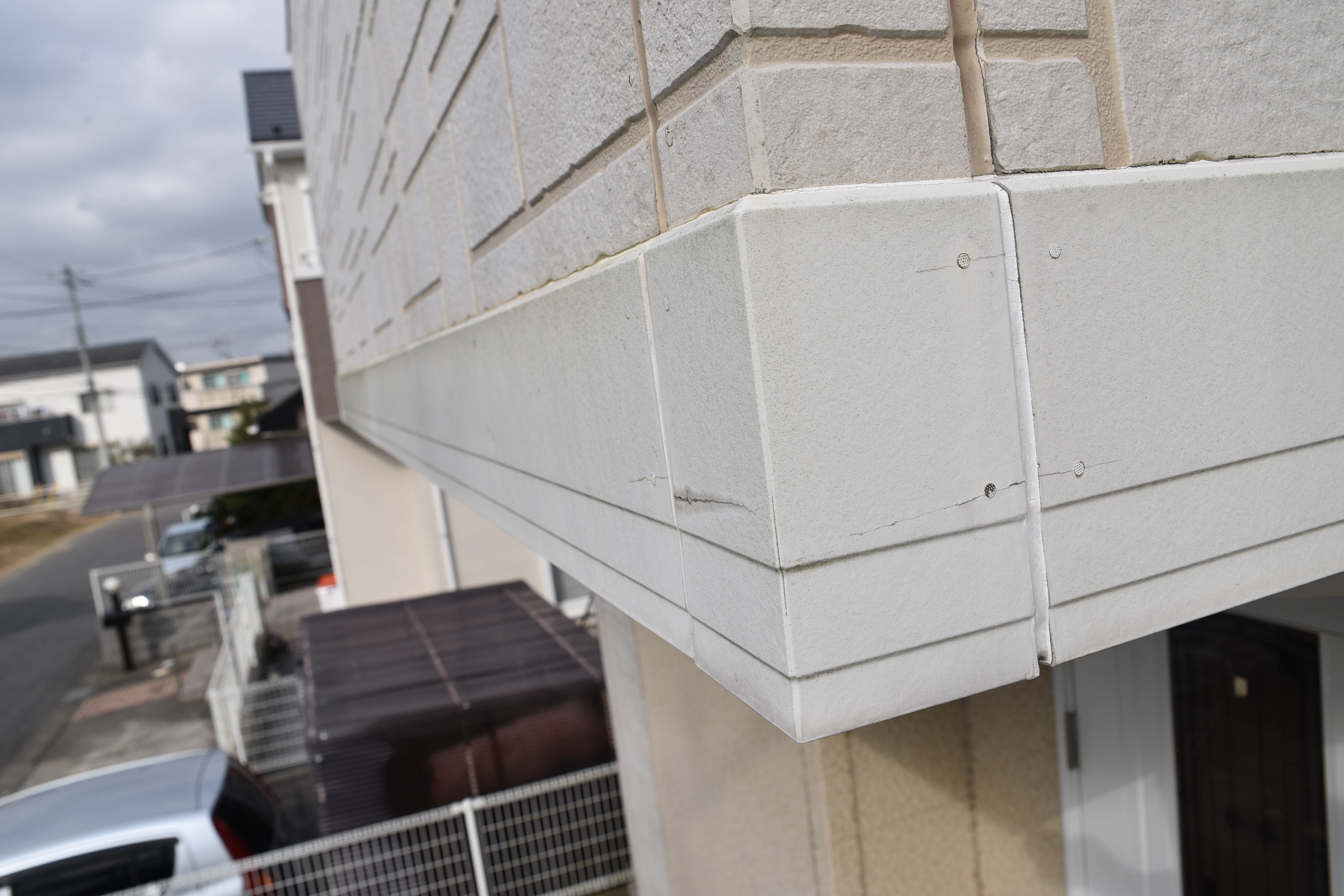 20190314 tsuchiya K sama mae14.JPG