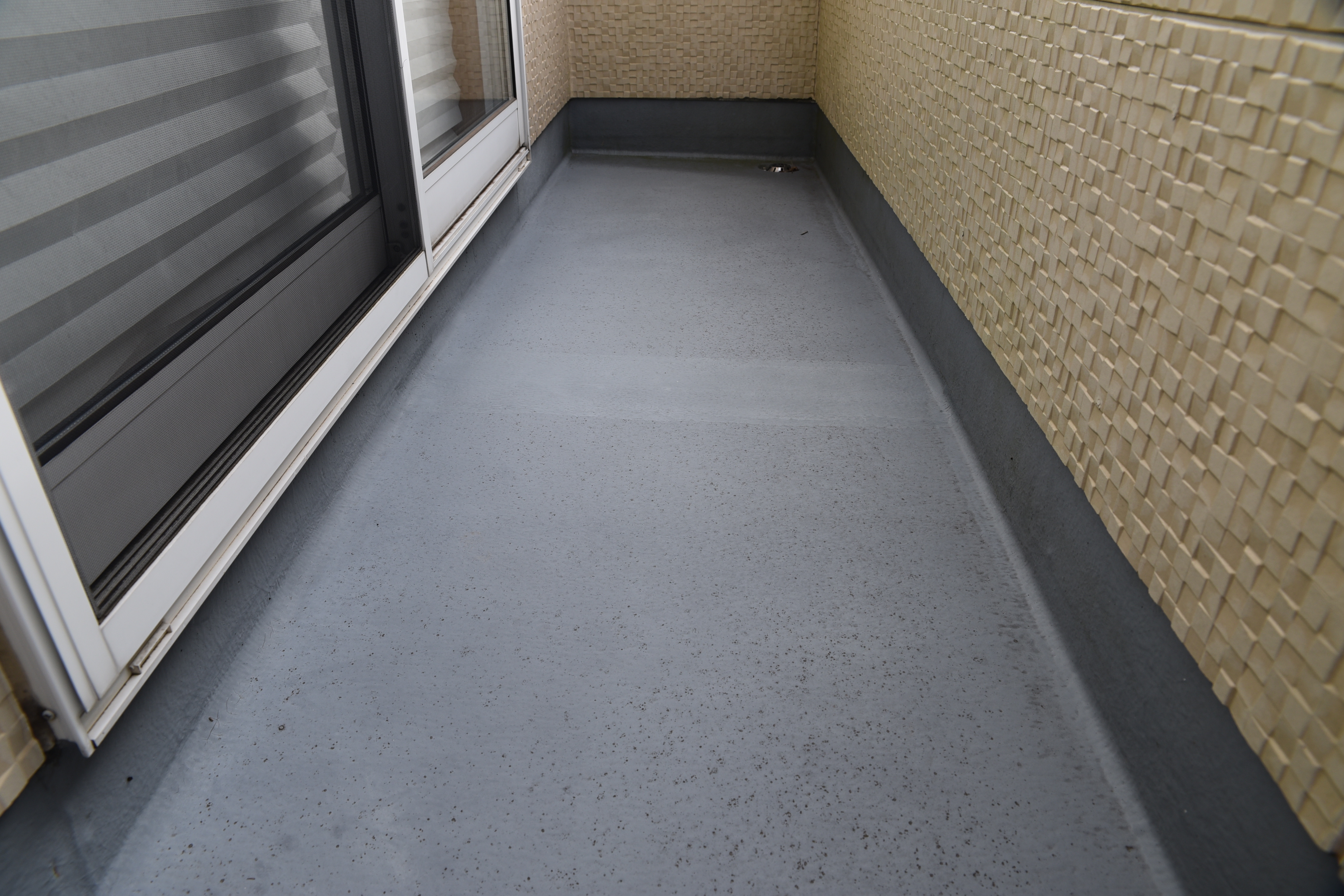 20190314 tsuchiya K sama mae15.JPG