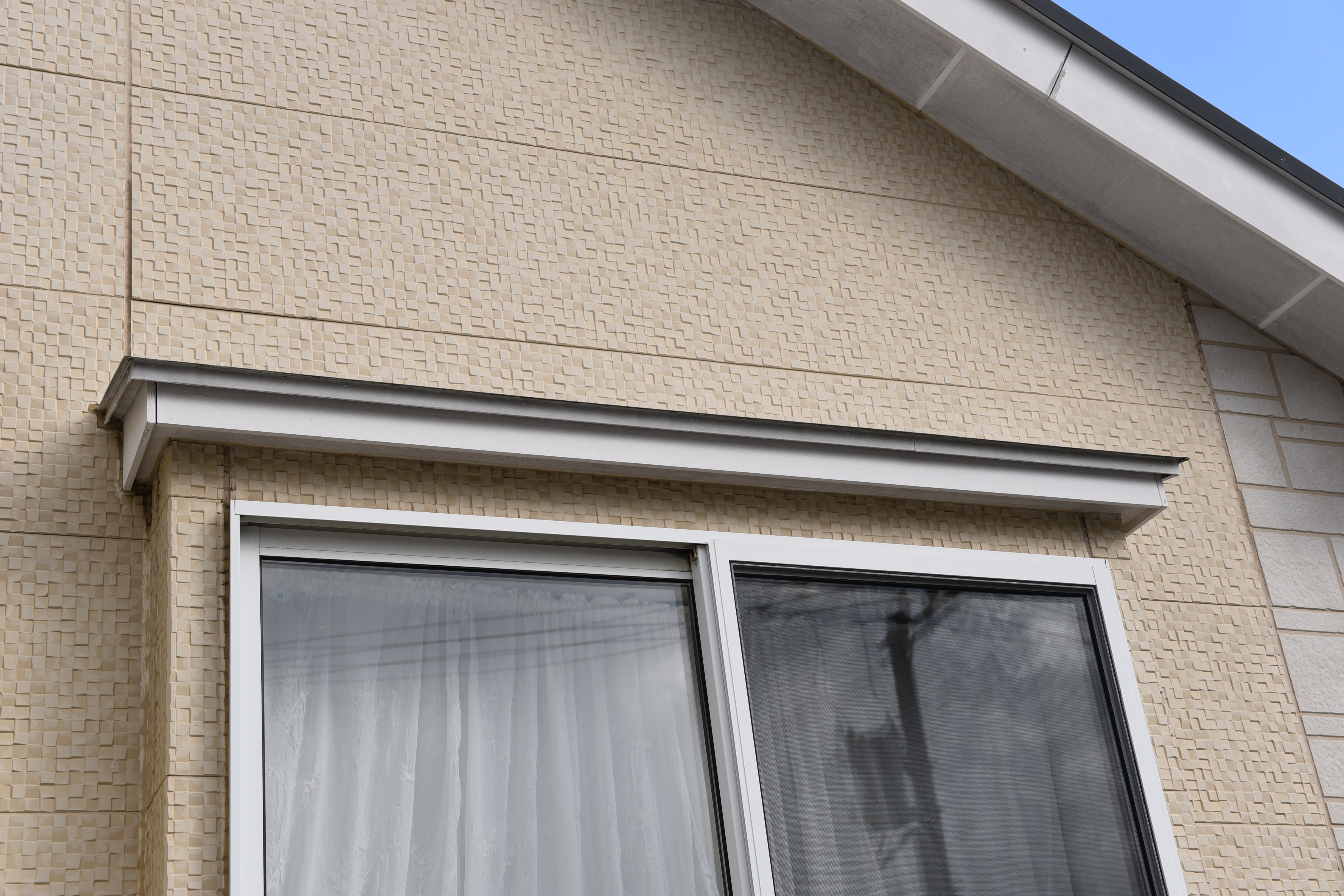 20190314 tsuchiya K sama mae17.JPG