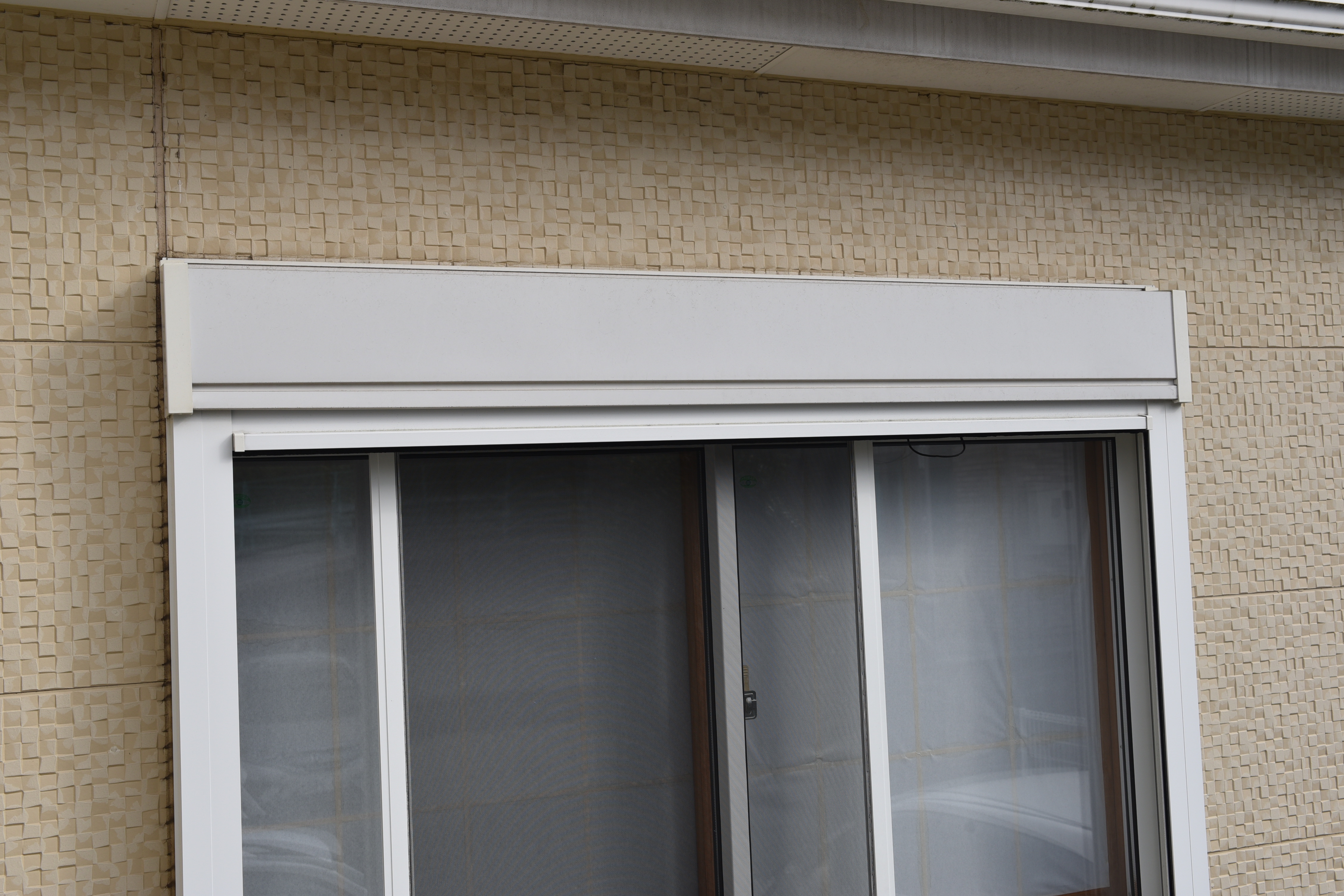 20190314 tsuchiya K sama mae18.JPG