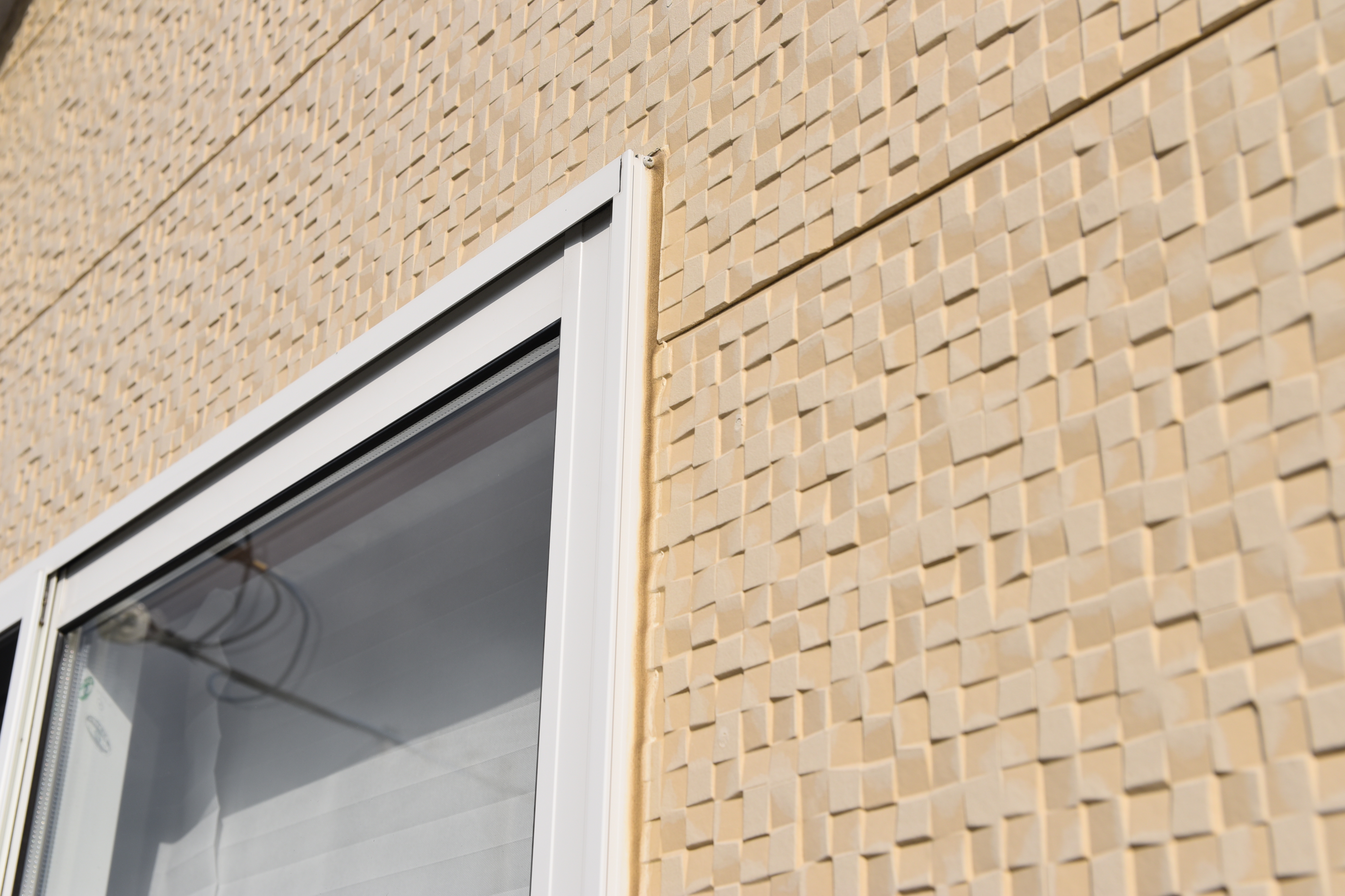 20190314 tsuchiya K sama mae21.JPG