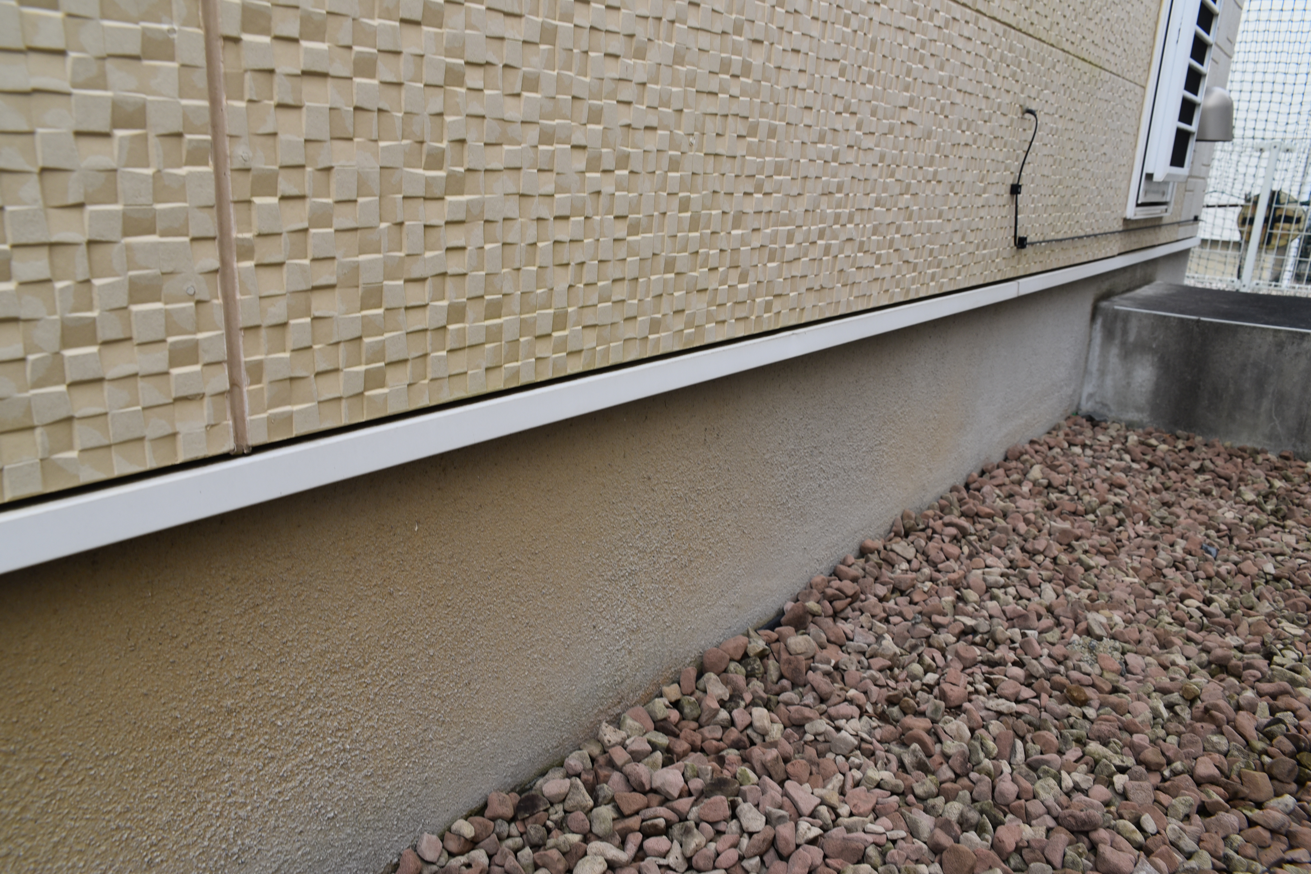 20190314 tsuchiya K sama mae25.JPG