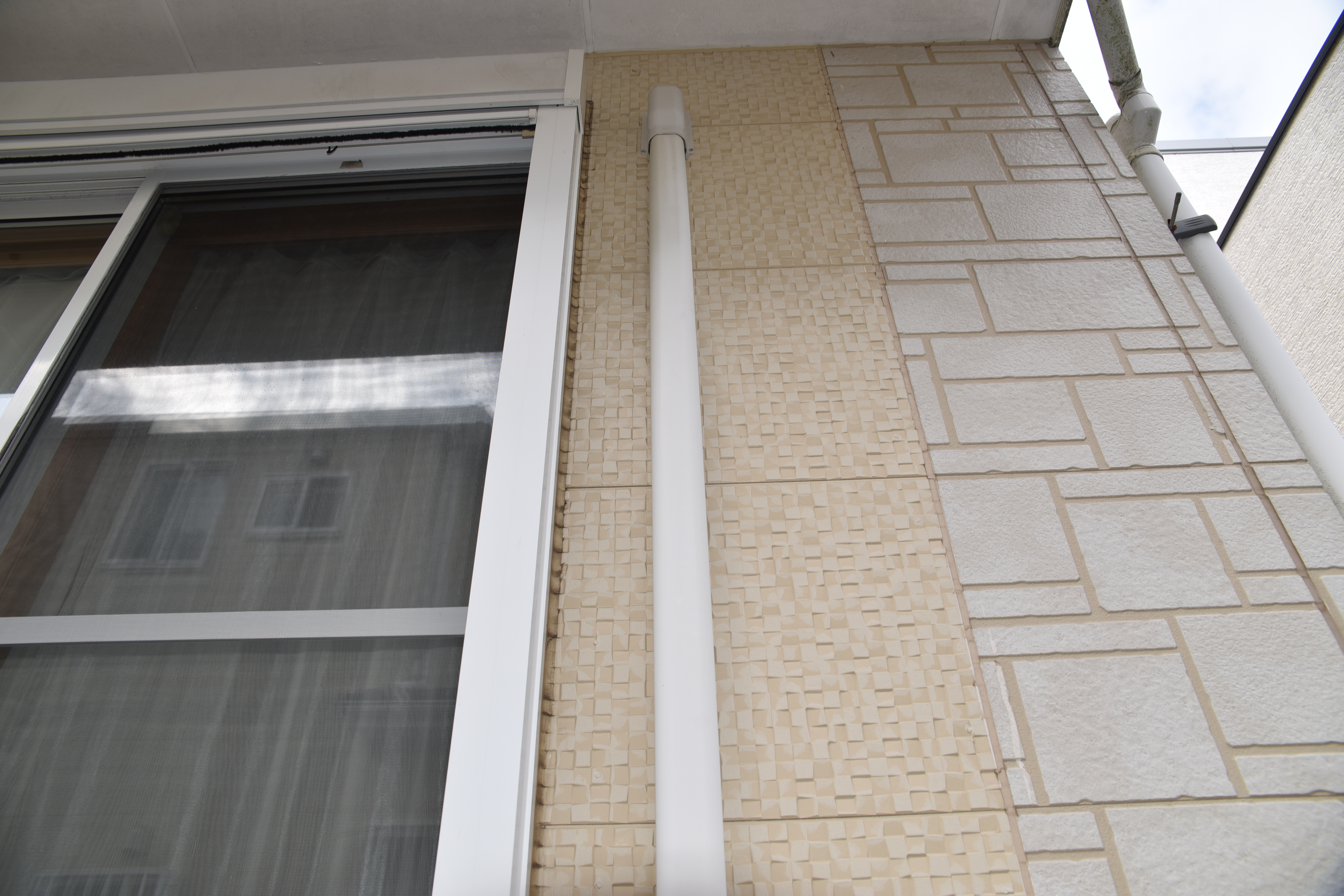 20190314 tsuchiya K sama mae26.JPG