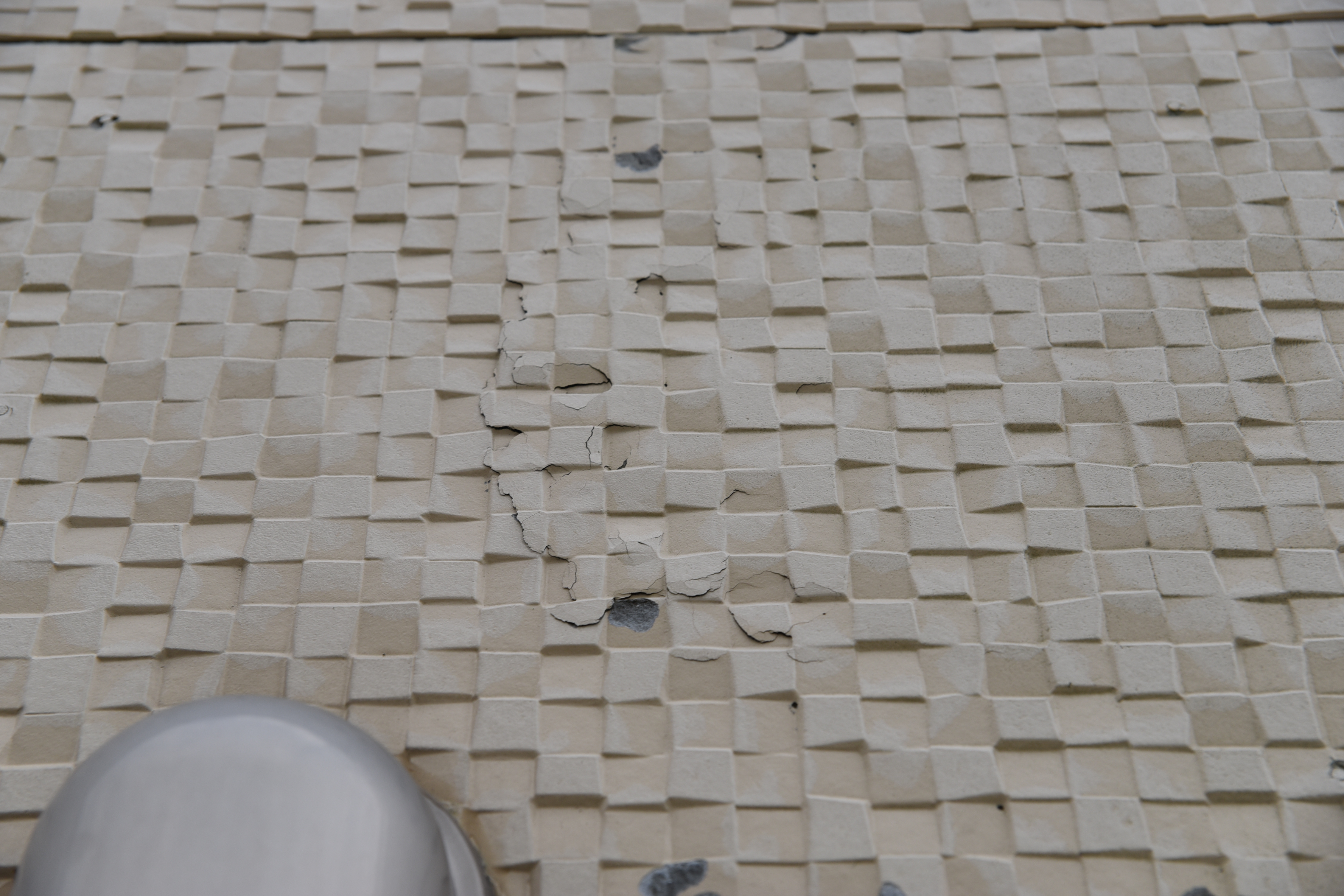 20190314 tsuchiya K sama mae27.JPG