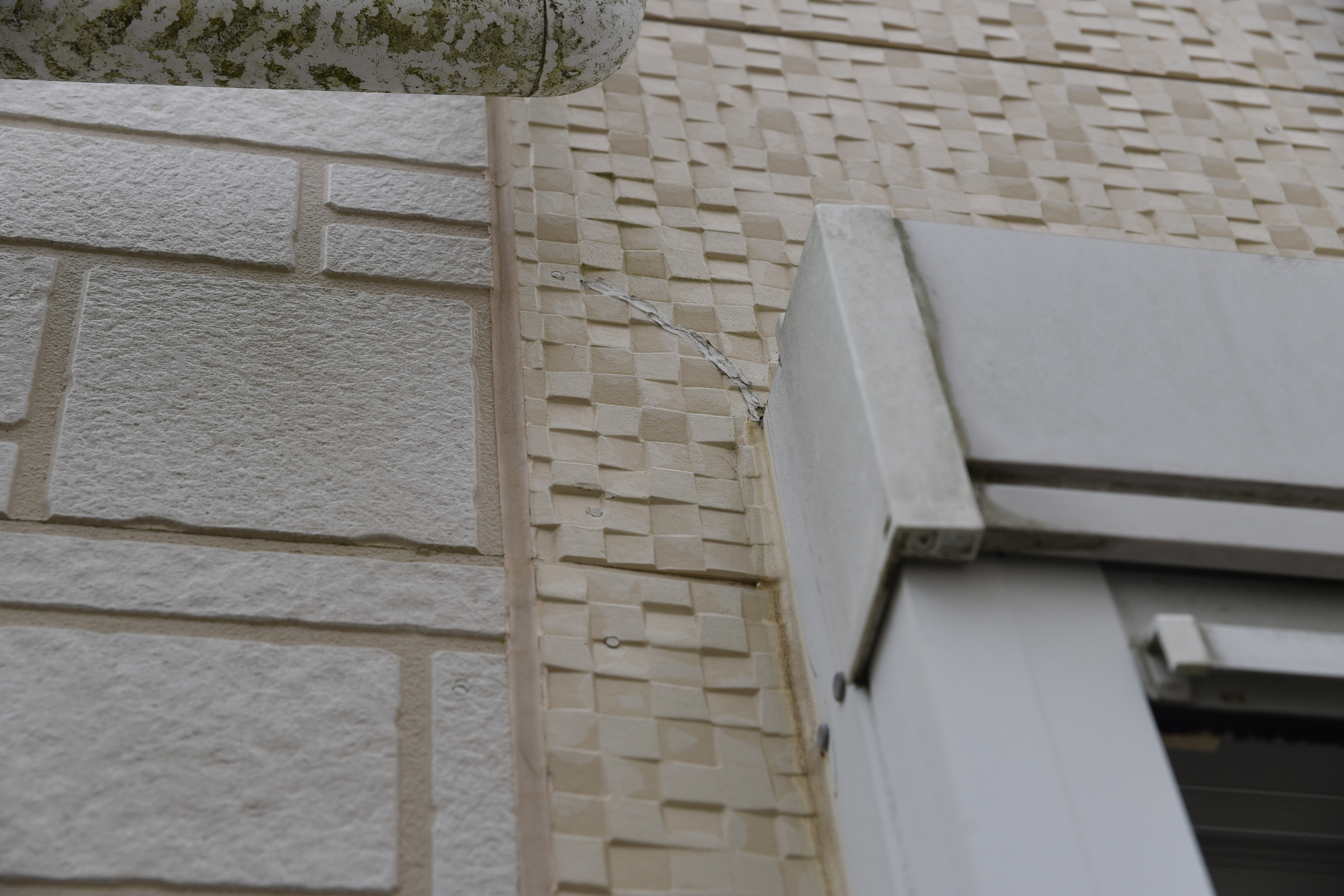 20190314 tsuchiya K sama mae28.JPG