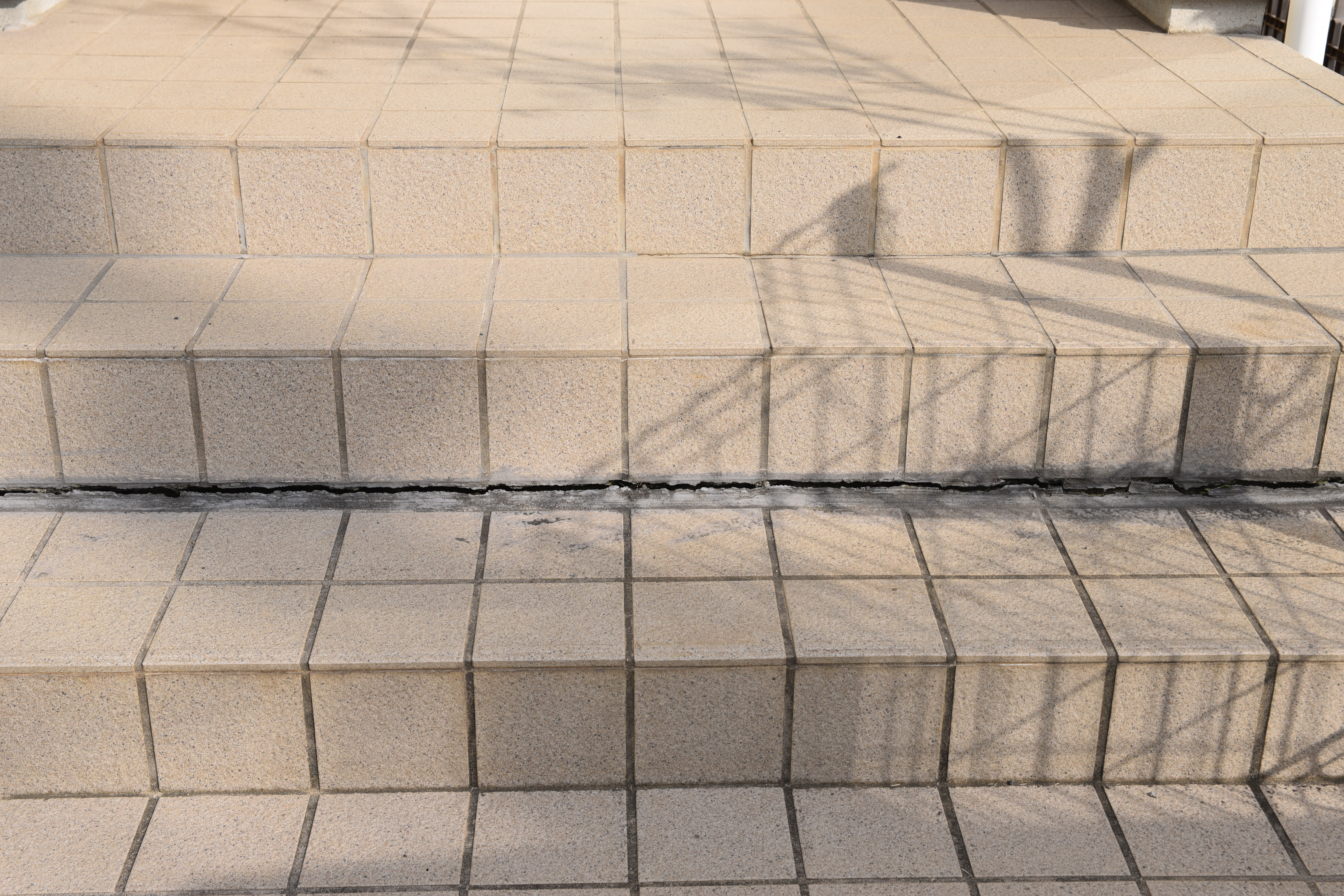 20190314 tsuchiya K sama mae29.JPG