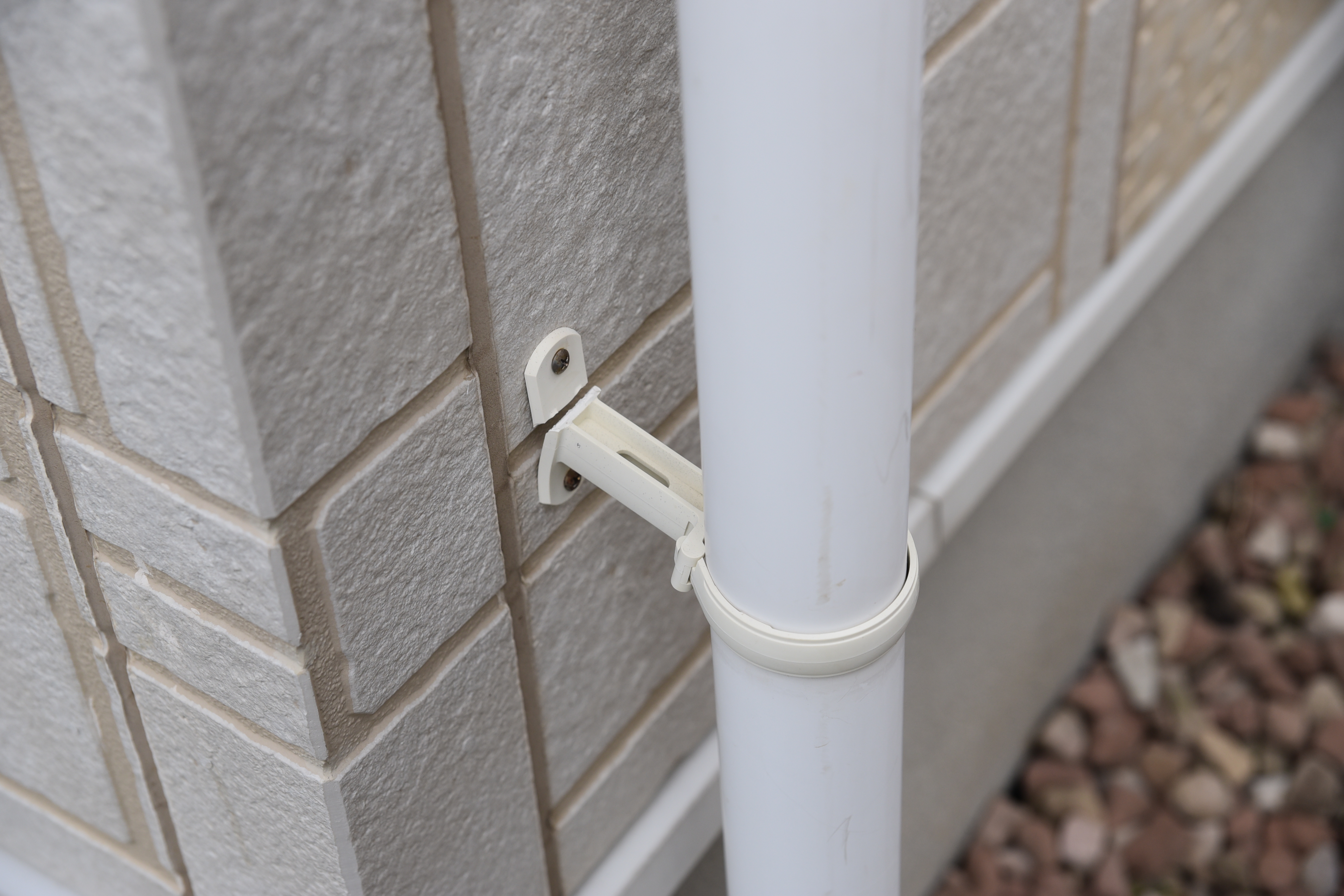 20190314 tsuchiya K sama mae32.JPG