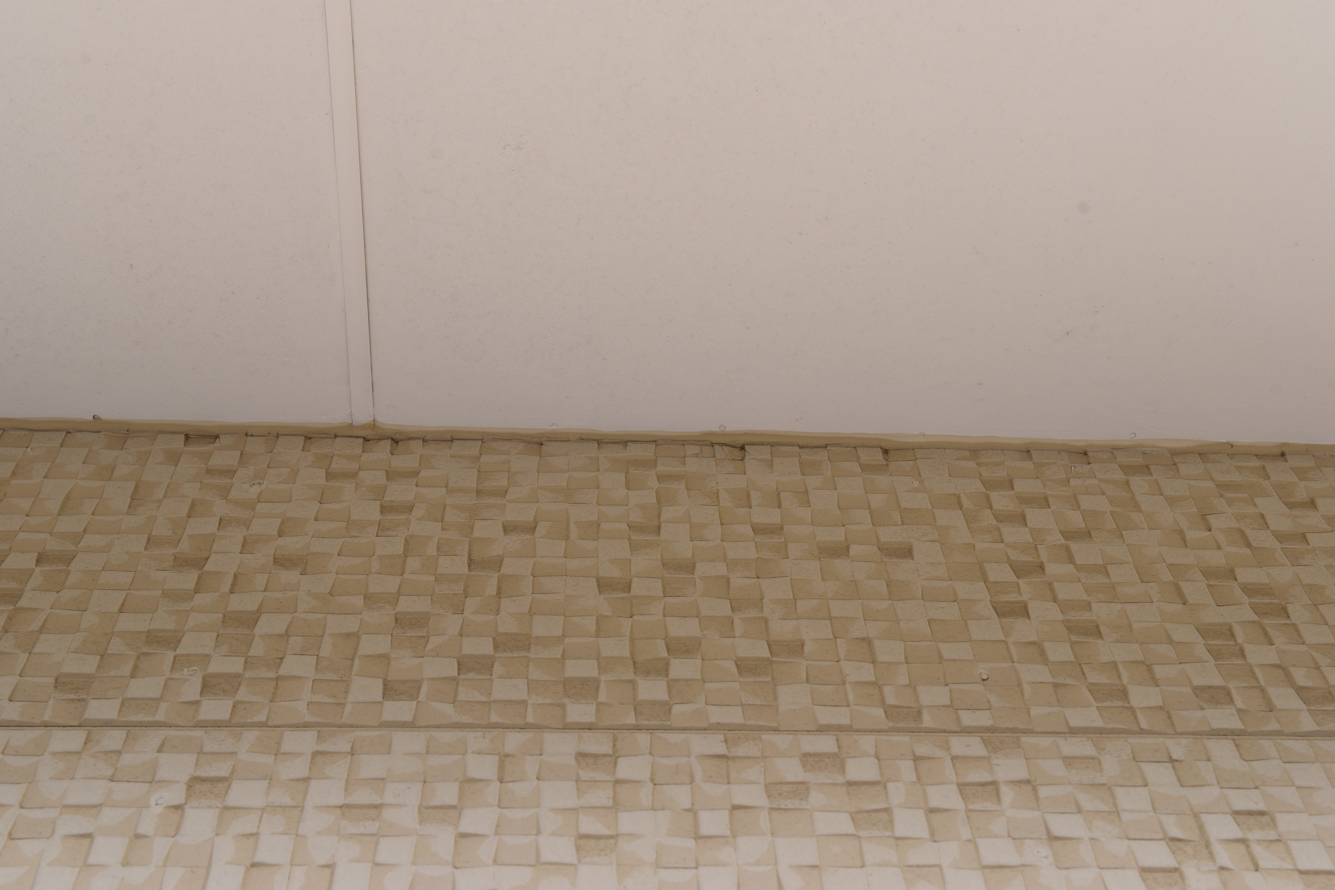 20190314 tsuchiya K sama mae33.JPG