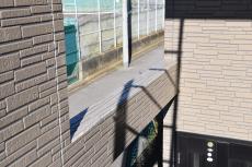 20190325 Ysama mae17.JPG