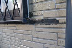 20190325 Ysama mae39.JPG