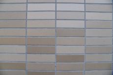 20190326 Isama mae05.JPG