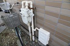 20190326 Isama mae06.JPG