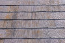 20190326 Isama mae31.JPG