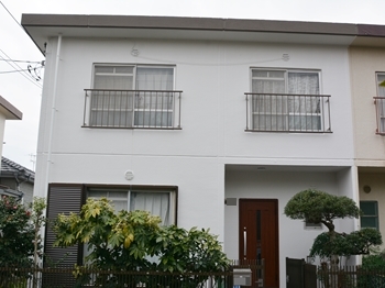 20190326 N.sama go02.JPG