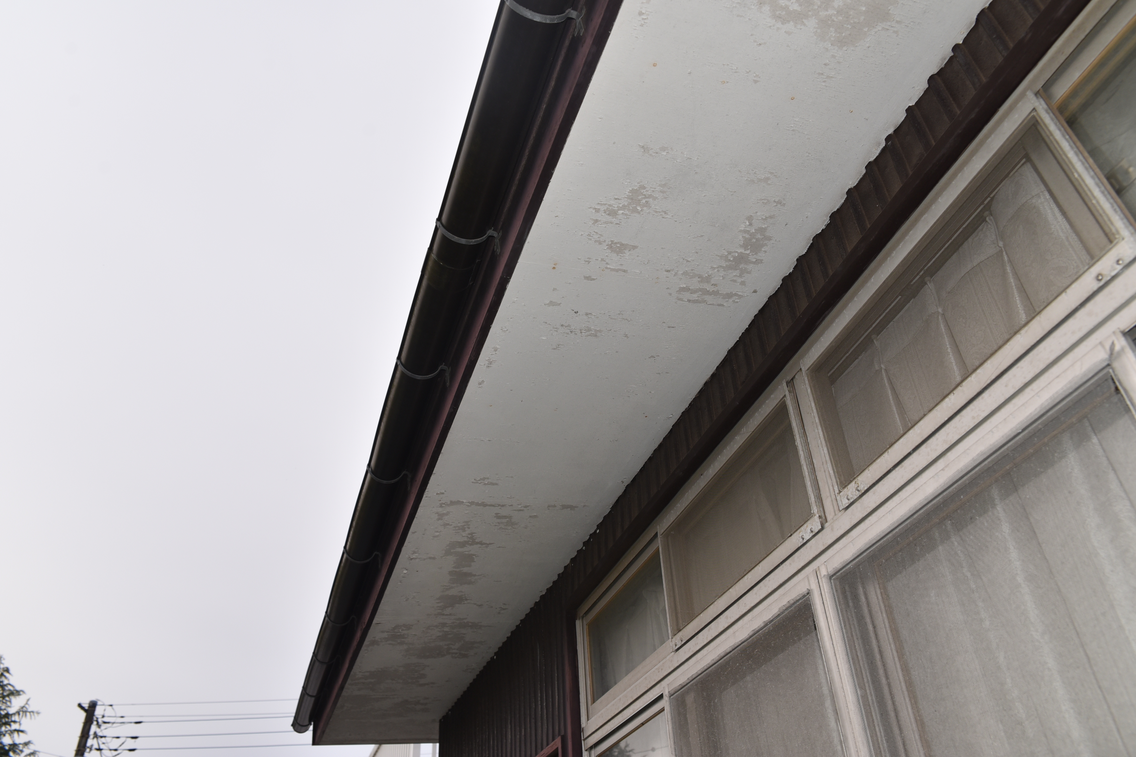20190326 N.sama mae28.JPG