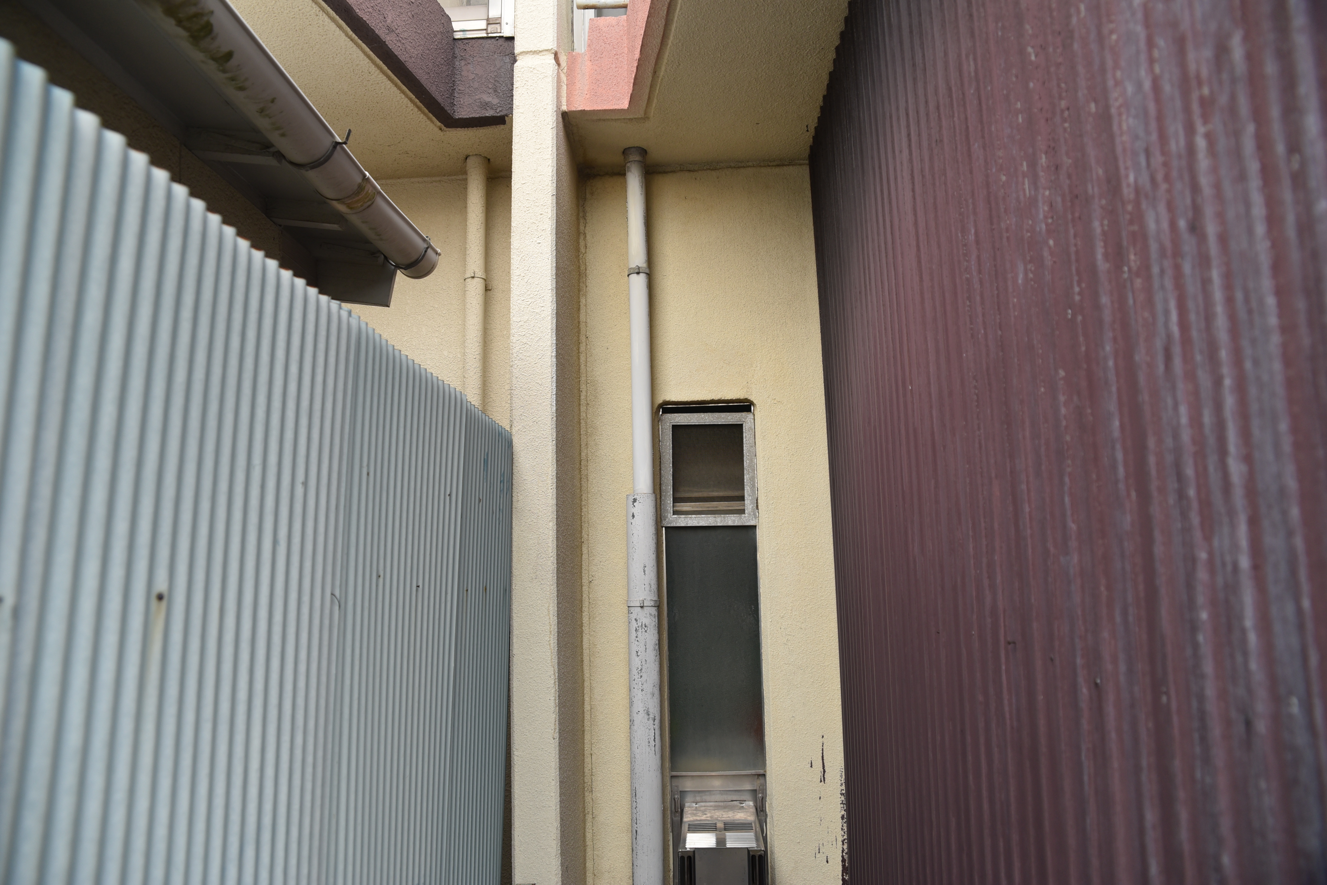 20190326 N.sama mae30.JPG